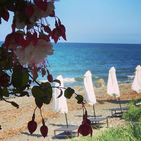 Qualicum Breeze Beach Resort Bowser Dış mekan fotoğraf