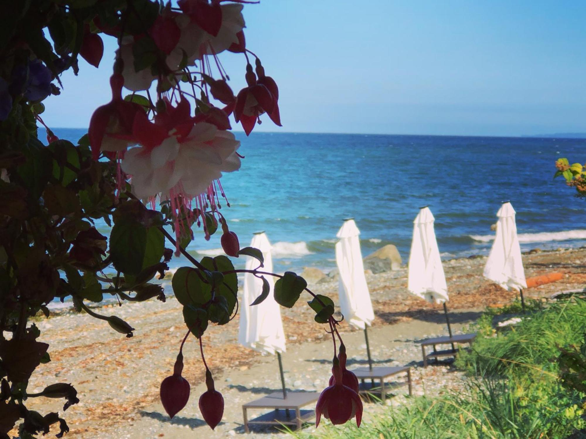 Qualicum Breeze Beach Resort Bowser Dış mekan fotoğraf